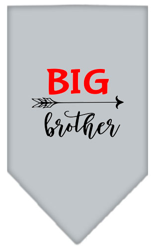 Big Brother Screen Print Bandana Grey Large